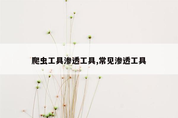 爬虫工具渗透工具,常见渗透工具