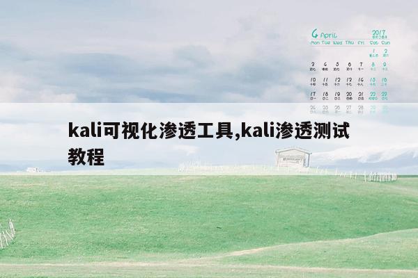 kali可视化渗透工具,kali渗透测试教程