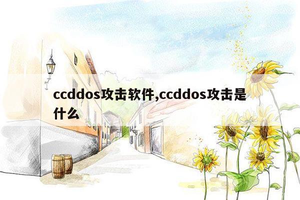 ccddos攻击软件,ccddos攻击是什么