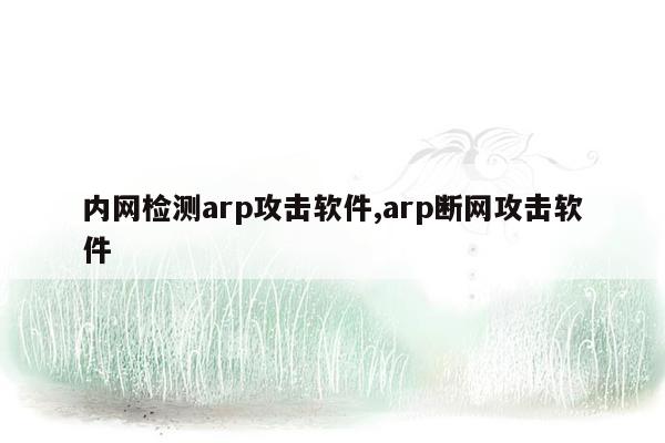 内网检测arp攻击软件,arp断网攻击软件