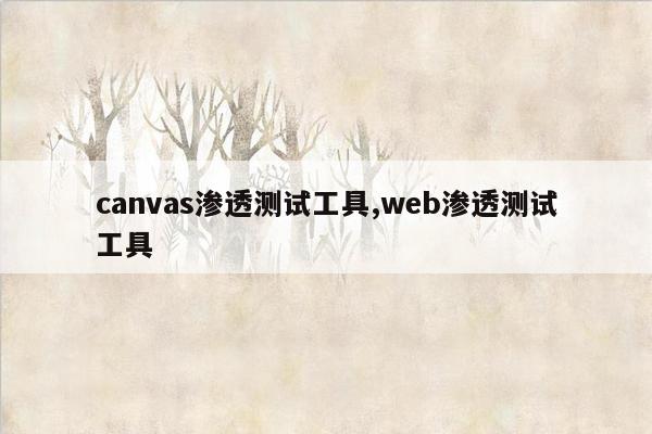 canvas渗透测试工具,web渗透测试工具