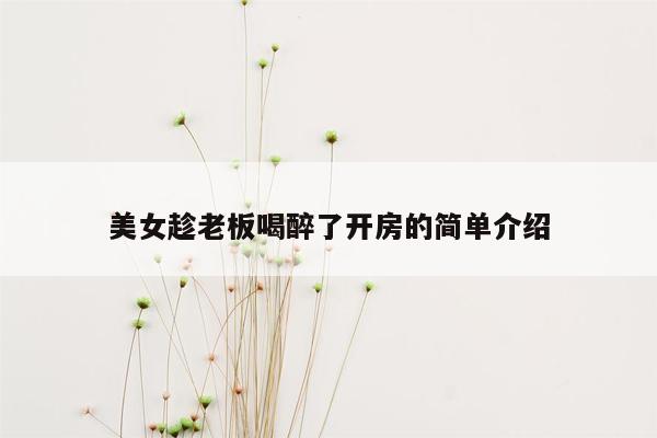 美女趁老板喝醉了开房的简单介绍