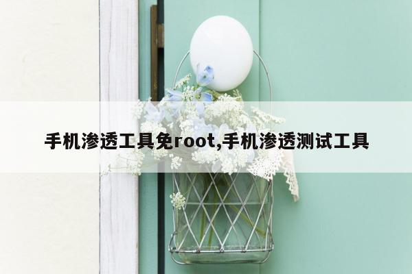 手机渗透工具免root,手机渗透测试工具