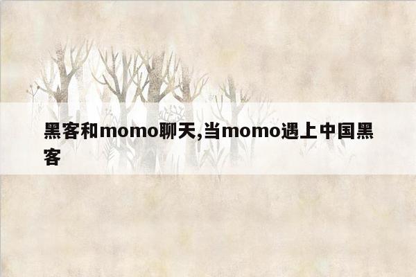 黑客和momo聊天,当momo遇上中国黑客