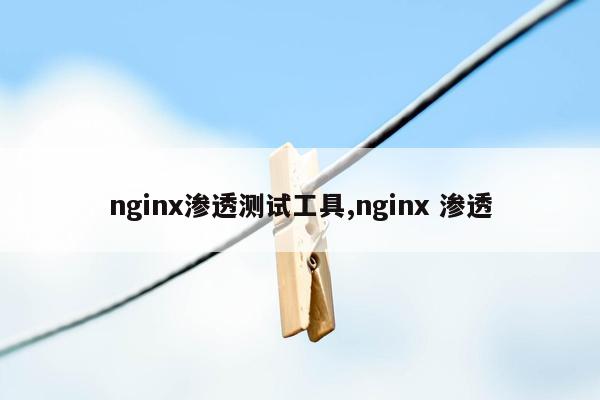 nginx渗透测试工具,nginx 渗透