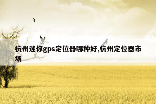 杭州迷你gps定位器哪种好,杭州定位器市场