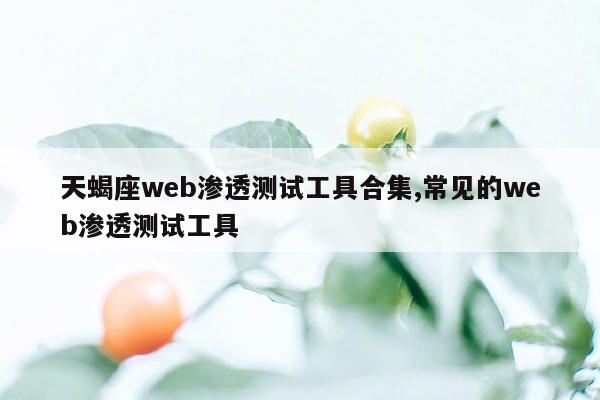 天蝎座web渗透测试工具合集,常见的web渗透测试工具