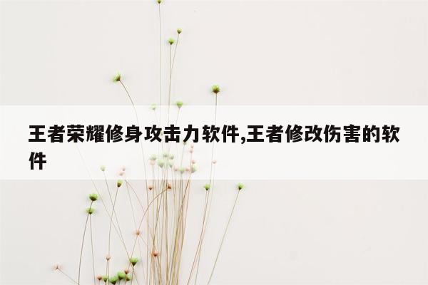 王者荣耀修身攻击力软件,王者修改伤害的软件