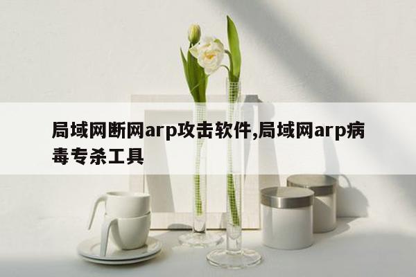 局域网断网arp攻击软件,局域网arp病毒专杀工具