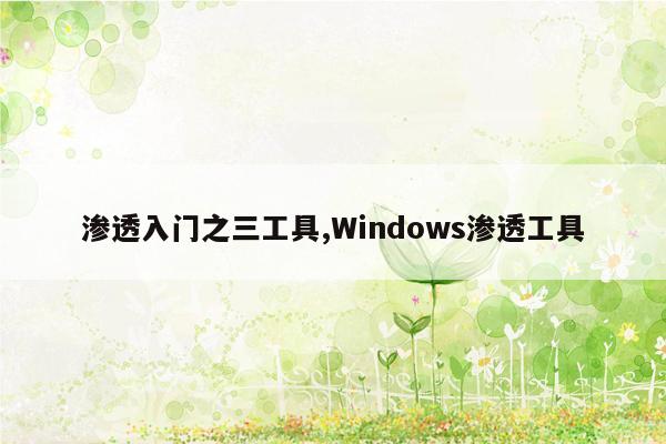 渗透入门之三工具,Windows渗透工具