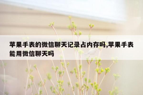 苹果手表的微信聊天记录占内存吗,苹果手表能用微信聊天吗