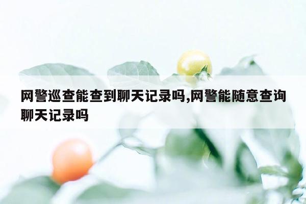 网警巡查能查到聊天记录吗,网警能随意查询聊天记录吗