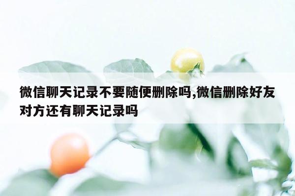 微信聊天记录不要随便删除吗,微信删除好友对方还有聊天记录吗