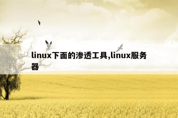 linux下面的渗透工具,linux服务器