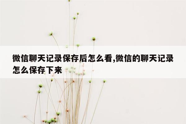 微信聊天记录保存后怎么看,微信的聊天记录怎么保存下来