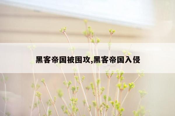 黑客帝国被围攻,黑客帝国入侵