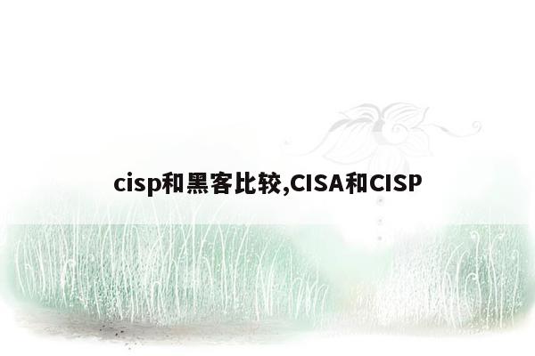 cisp和黑客比较,CISA和CISP