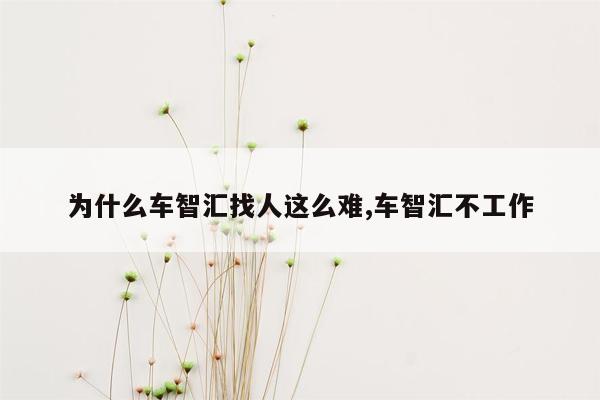 为什么车智汇找人这么难,车智汇不工作