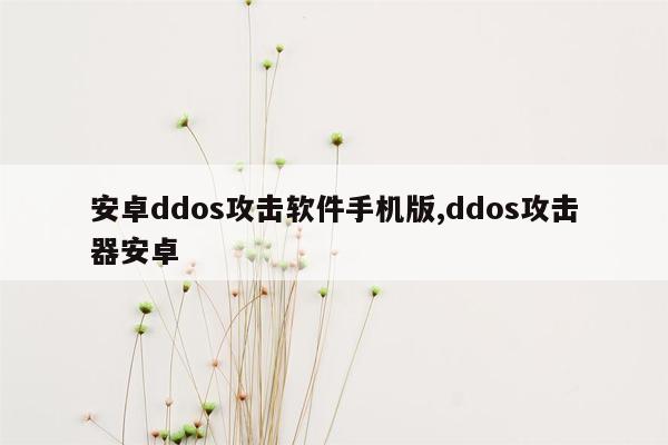 安卓ddos攻击软件手机版,ddos攻击器安卓