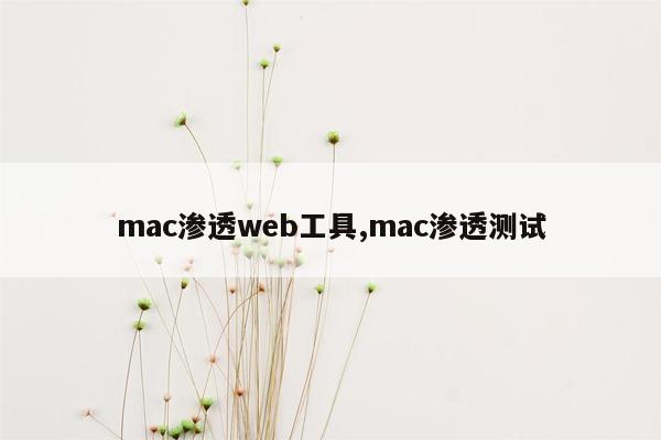 mac渗透web工具,mac渗透测试