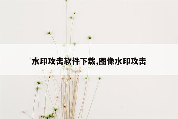 水印攻击软件下载,图像水印攻击