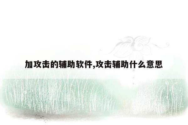 加攻击的辅助软件,攻击辅助什么意思