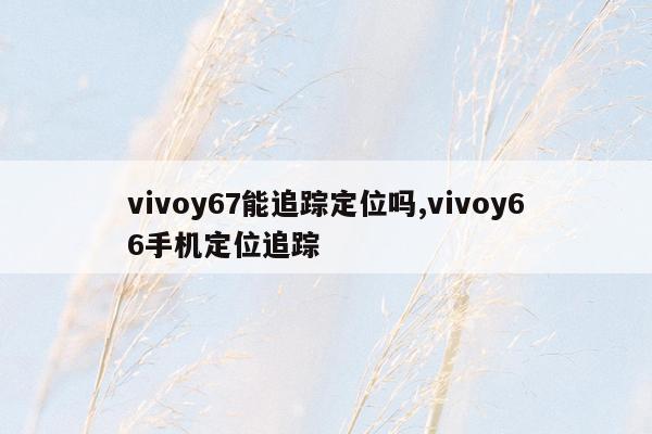 vivoy67能追踪定位吗,vivoy66手机定位追踪