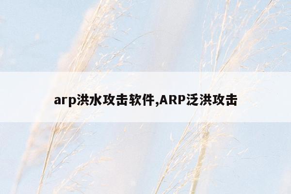 arp洪水攻击软件,ARP泛洪攻击