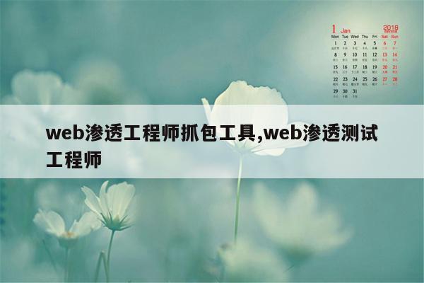 web渗透工程师抓包工具,web渗透测试工程师