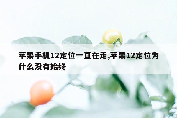 苹果手机12定位一直在走,苹果12定位为什么没有始终