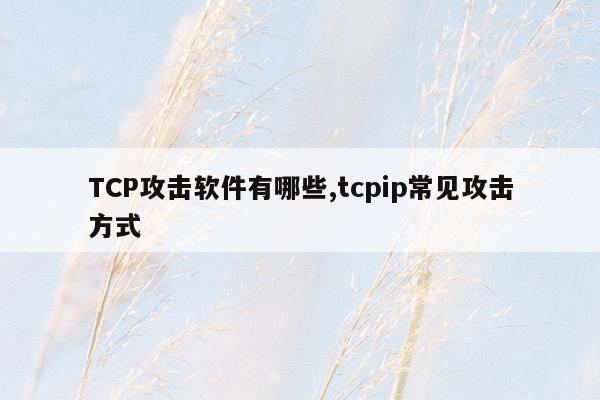 TCP攻击软件有哪些,tcpip常见攻击方式