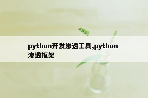 python开发渗透工具,python 渗透框架