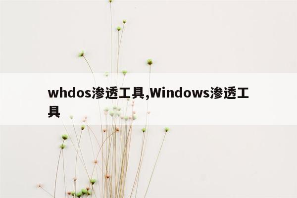 whdos渗透工具,Windows渗透工具