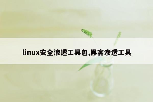 linux安全渗透工具包,黑客渗透工具