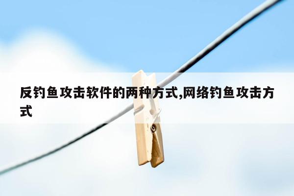 反钓鱼攻击软件的两种方式,网络钓鱼攻击方式