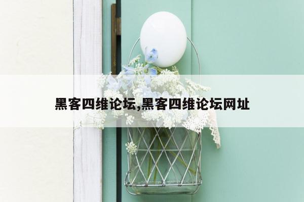 黑客四维论坛,黑客四维论坛网址