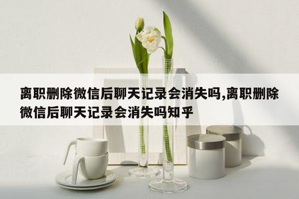 离职删除微信后聊天记录会消失吗,离职删除微信后聊天记录会消失吗知乎