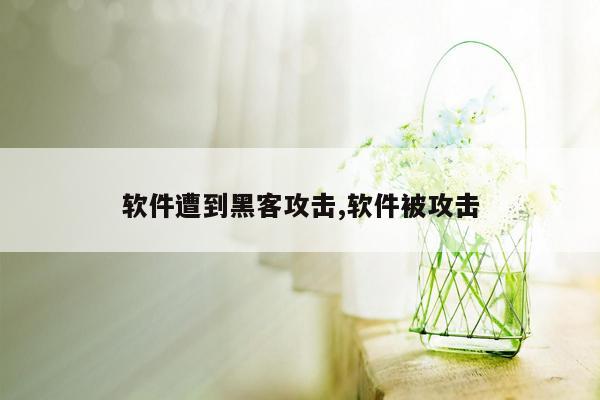 软件遭到黑客攻击,软件被攻击