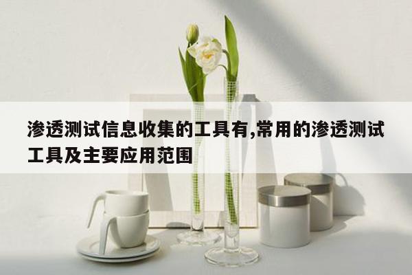 渗透测试信息收集的工具有,常用的渗透测试工具及主要应用范围