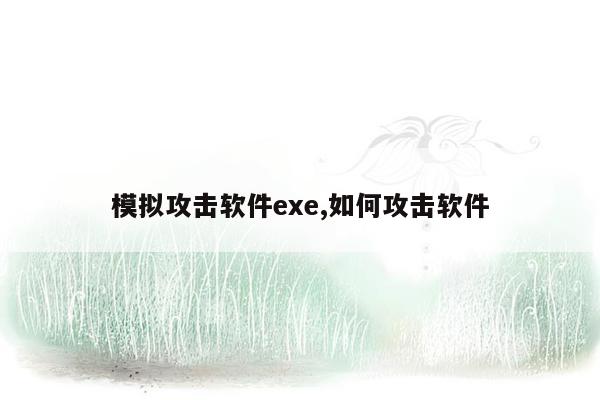 模拟攻击软件exe,如何攻击软件