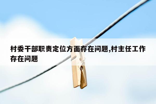 村委干部职责定位方面存在问题,村主任工作存在问题