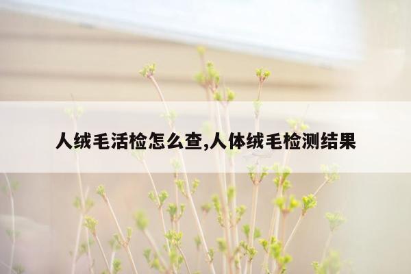 人绒毛活检怎么查,人体绒毛检测结果