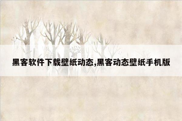 黑客软件下载壁纸动态,黑客动态壁纸手机版