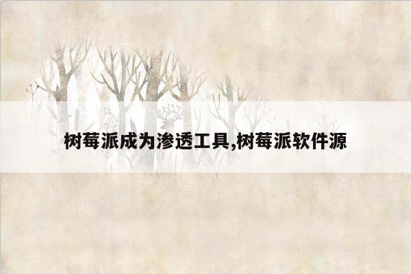 树莓派成为渗透工具,树莓派软件源