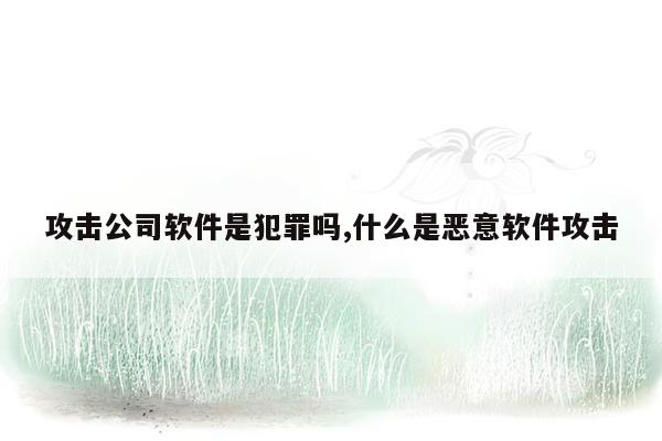 攻击公司软件是犯罪吗,什么是恶意软件攻击