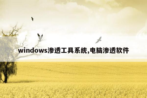 windows渗透工具系统,电脑渗透软件