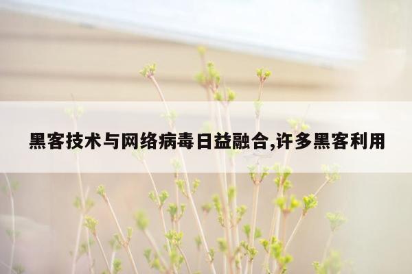 黑客技术与网络病毒日益融合,许多黑客利用