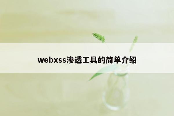webxss渗透工具的简单介绍