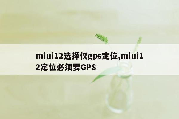 miui12选择仅gps定位,miui12定位必须要GPS