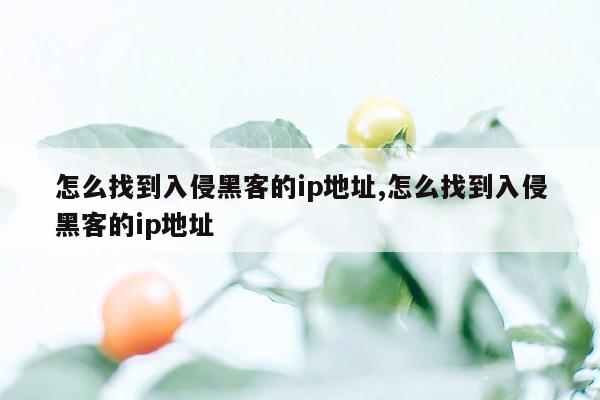 怎么找到入侵黑客的ip地址,怎么找到入侵黑客的ip地址